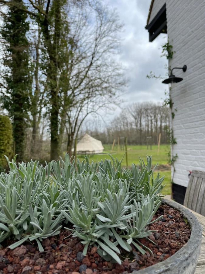 Villa No Tempo à Knesselare Extérieur photo
